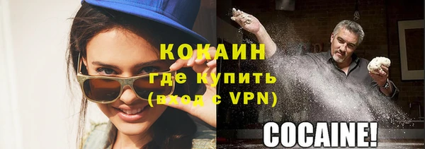 стаф Новодвинск