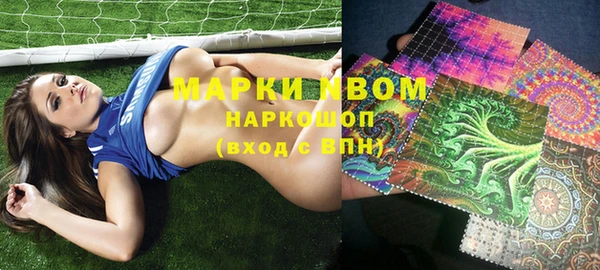 амф Новокубанск