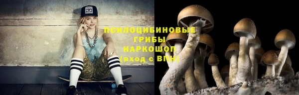 амф Новокубанск