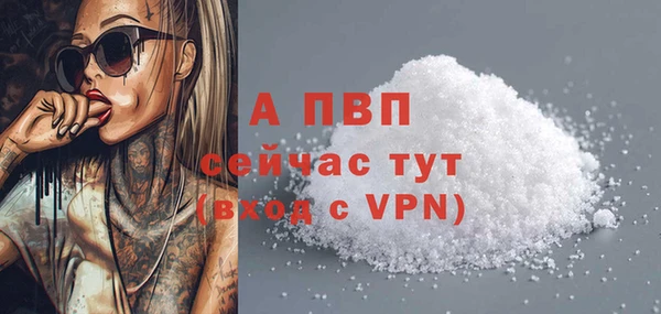 стаф Новодвинск