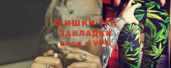 стаф Новодвинск