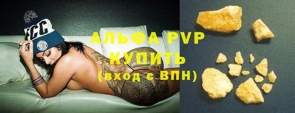стаф Новодвинск